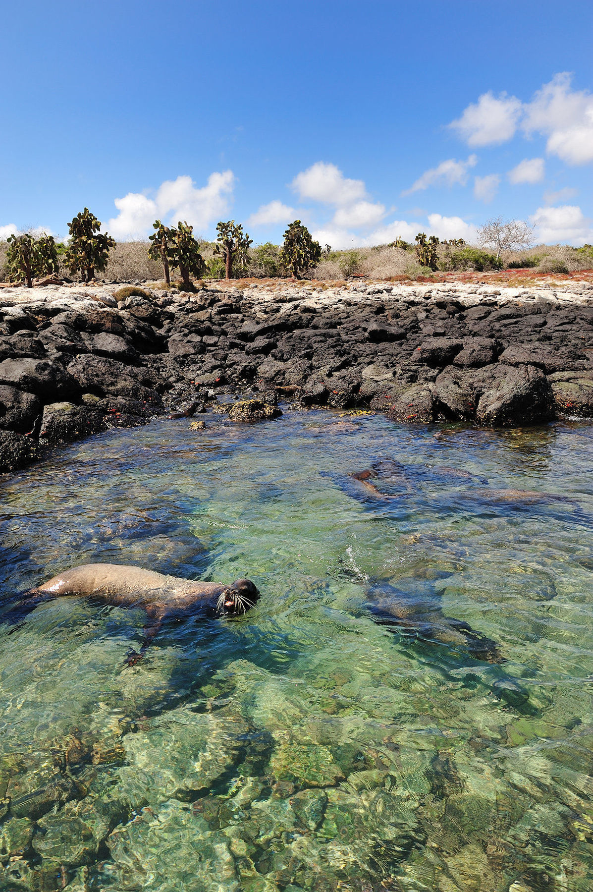 Pikaia Lodge Santa Cruz Island ภายนอก รูปภาพ