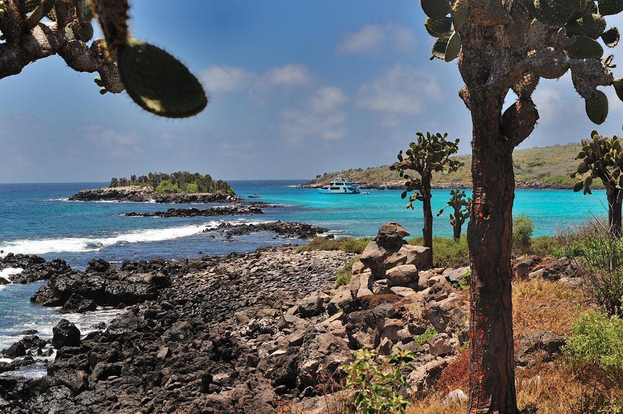 Pikaia Lodge Santa Cruz Island ภายนอก รูปภาพ